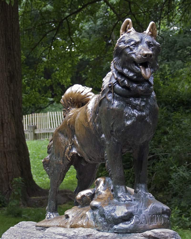 A statue of Balto the dog in Central Park.