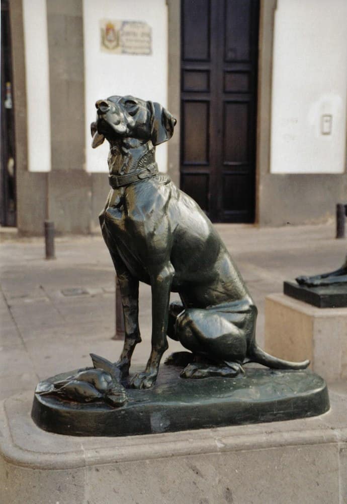 statuette photosculptée 10x15 cm chien drahthaar 2 dog hund perro cane 