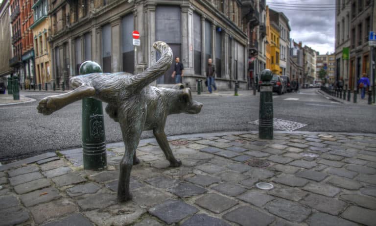 The Best Dog Statues Around the World