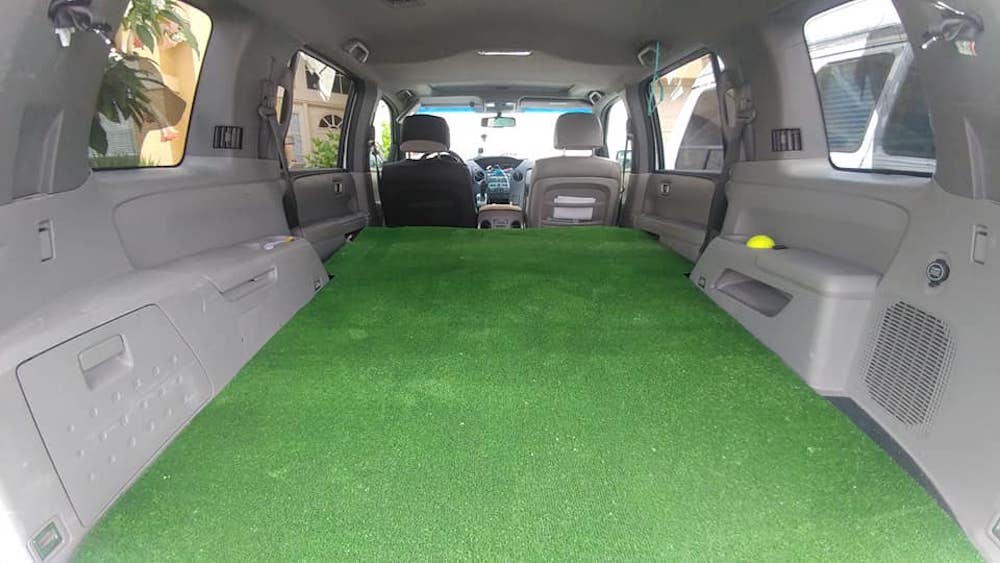 Astroturf in the back of a car. 