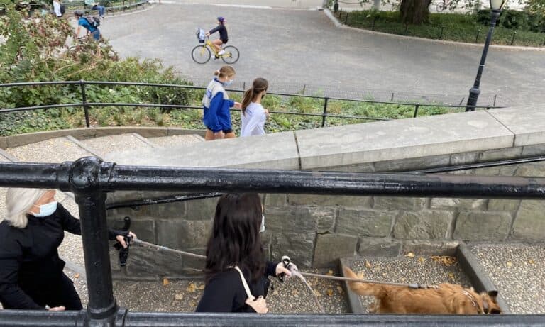 The Ultimate Dog-Friendly Guide to Central Park
