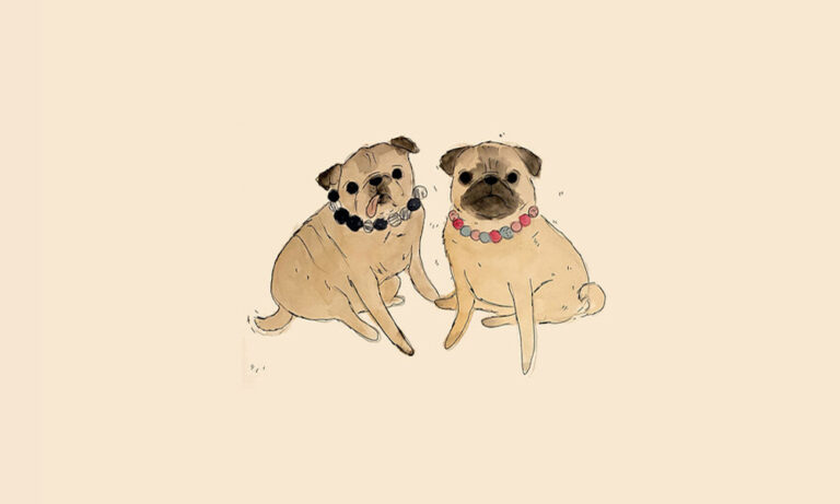 How to Draw a Pug: A Step-by-Step Guide with Artist Andrea Cáceres