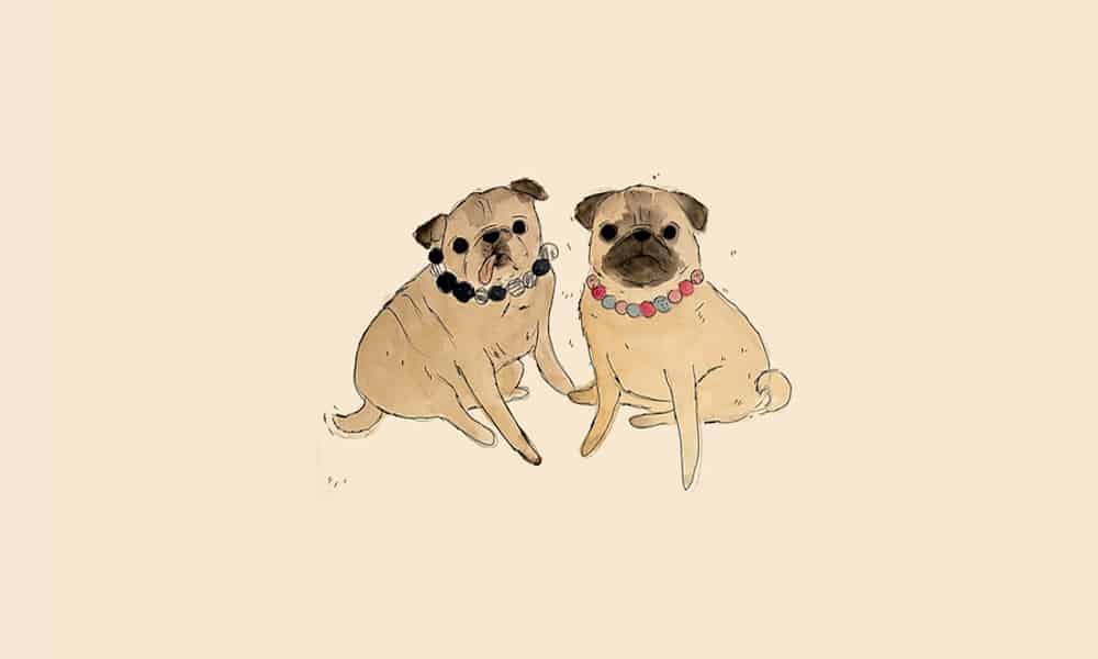 Draw your very own pug! Artist Andrea Caceres teaches us how to draw a cartoon pug in just a few easy steps.