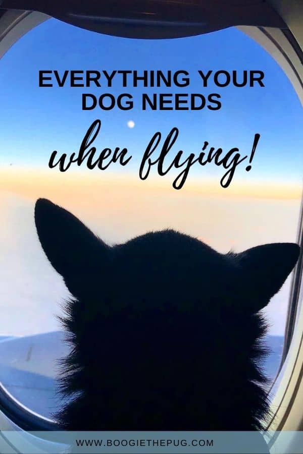 Be prepared for your next flight with your dog by making sure you've packed these items. Here's everything your dog will need on a plane.