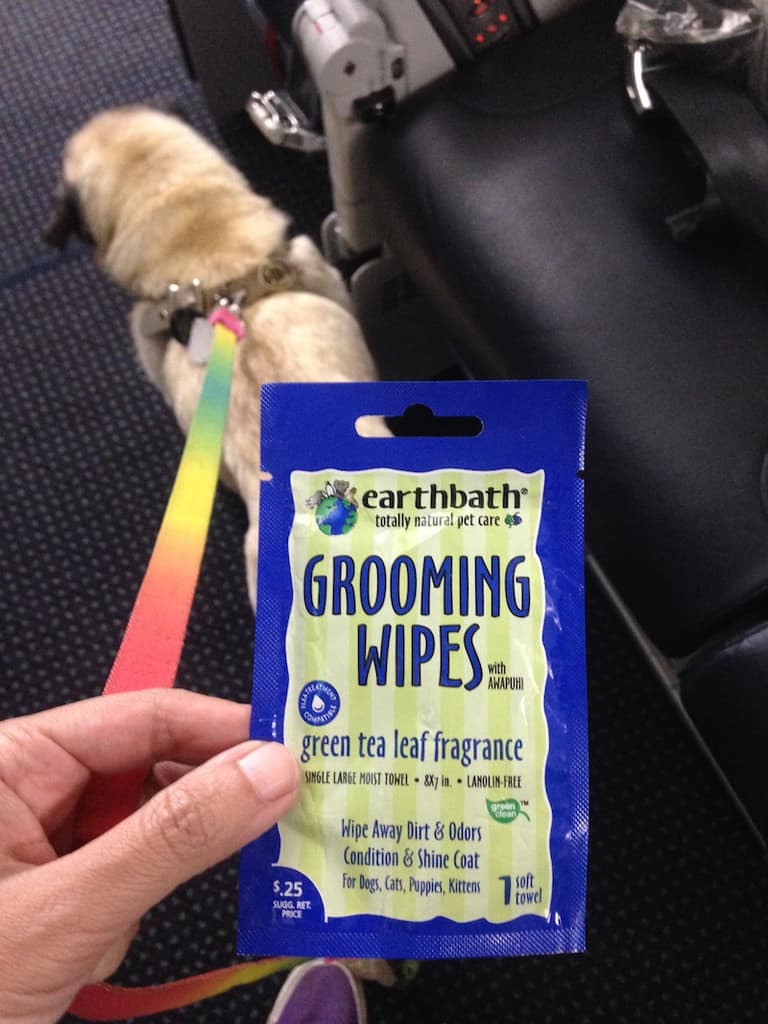 Grooming wipes on a plane.