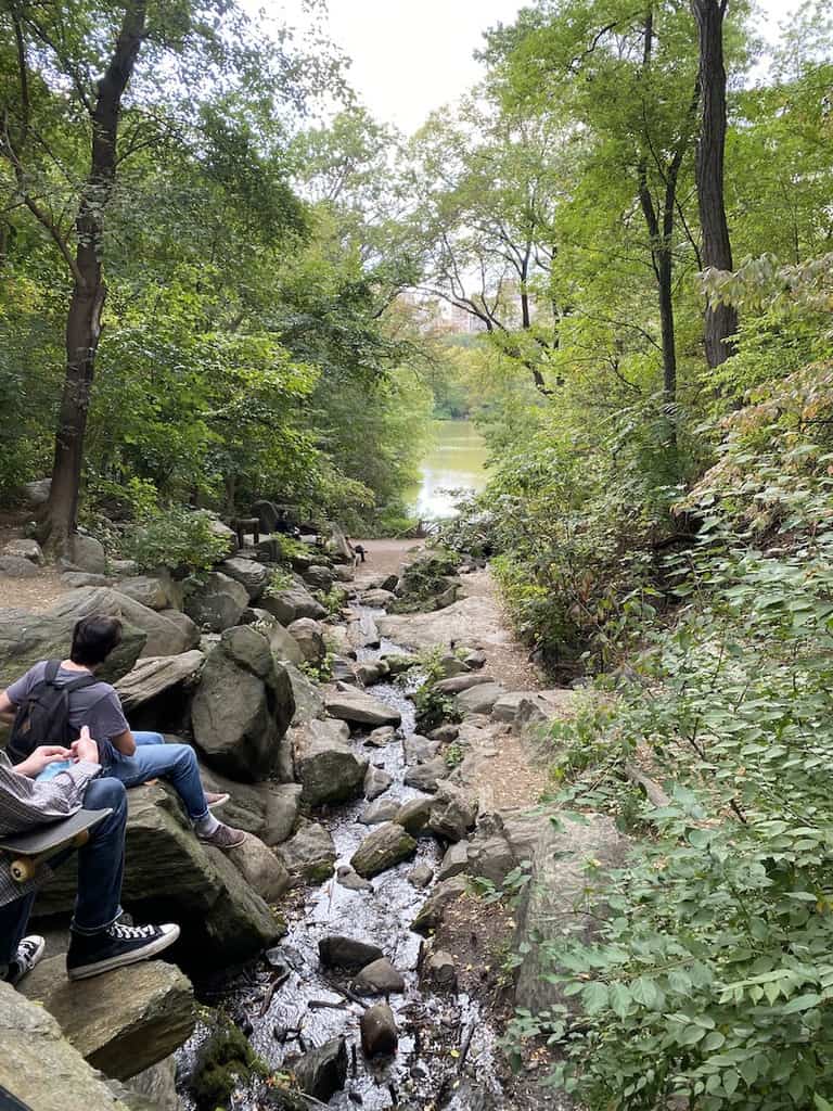 The Ramble in Central Park.