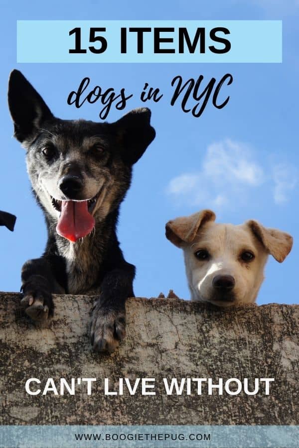 The @dogsofnyc tell us which dog products they can't live without. Here's a list of all of the items dogs in New York City use and love.