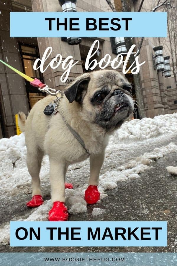 Paw protection is key to keeping your dog healthy, safe and comfortable. Here are the best dog boots on the market.