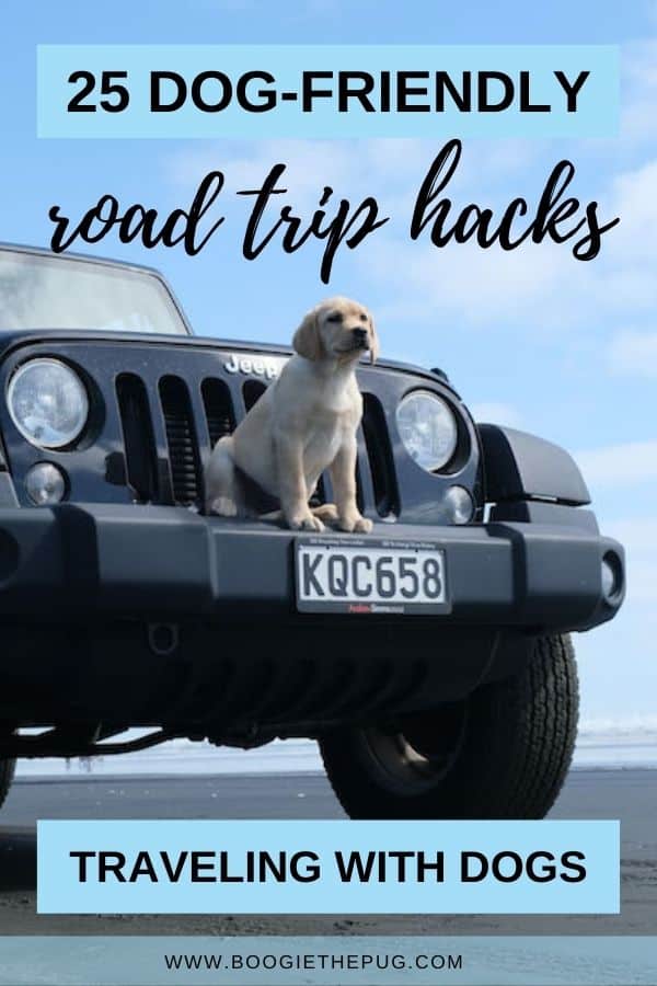 Dog-friendly road trip? We've got you covered! Here are 25 hacks to make traveling in a car with a dog a smooth ride.