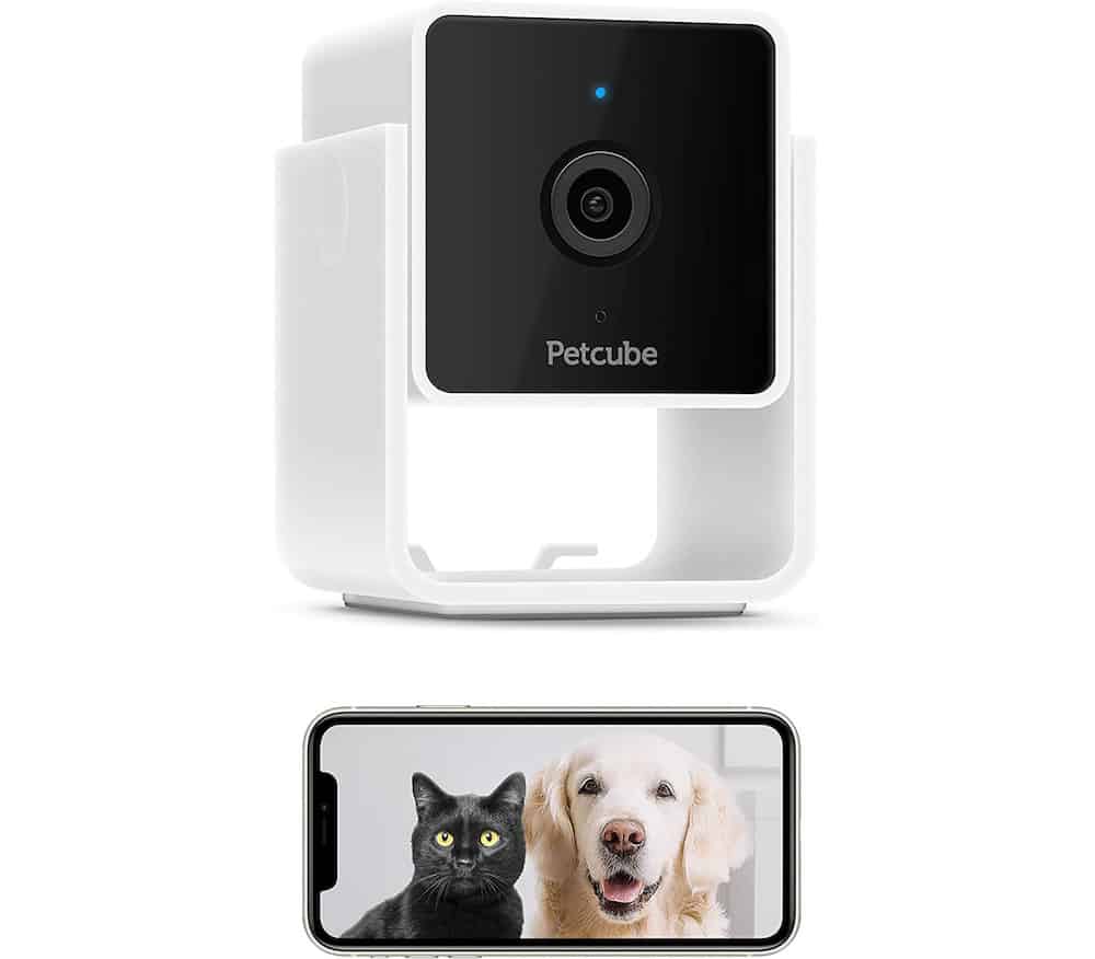 Petcube Pet Monitoring Camera 
