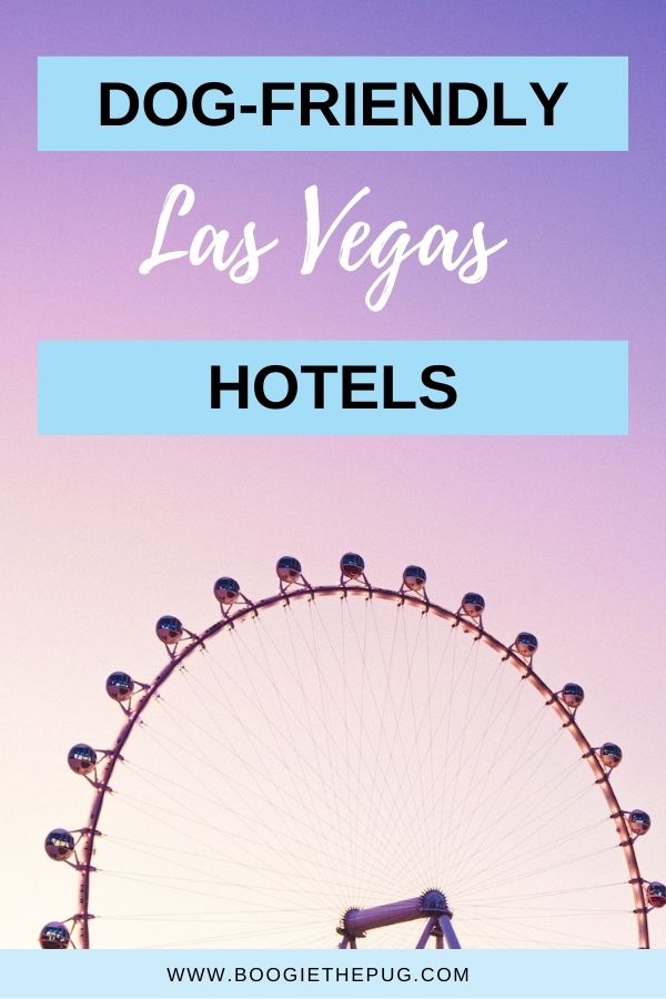 Sin city could use a few more angels, so bring your dog along and have some fun! Here's our guide to Las Vegas pet-friendly hotels. 