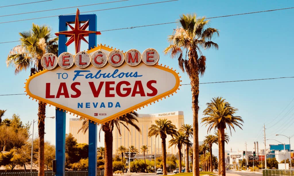 Sin city could use a few more angels, so bring your dog along and have some fun! Here's our guide to Las Vegas pet-friendly hotels.