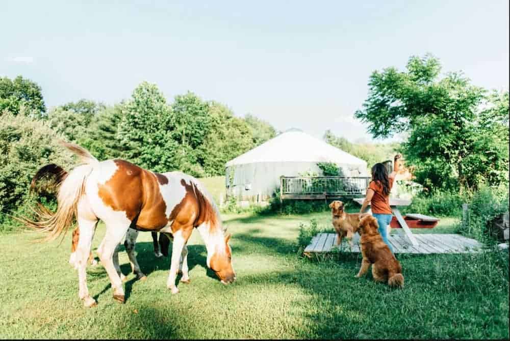 Horse Farm Yurt