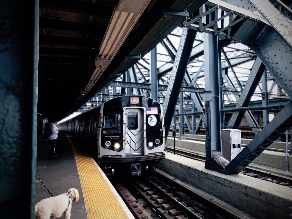 A dog waiting for a subway train in NYC.