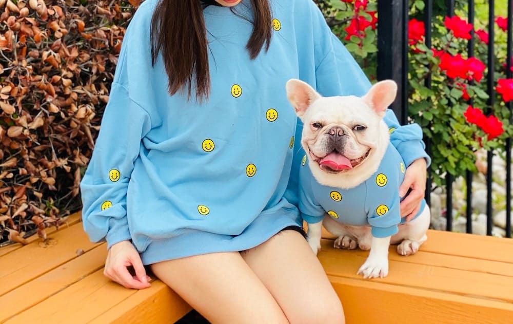 Dog and shop person matching sweaters