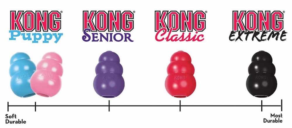 Kong Size Guide