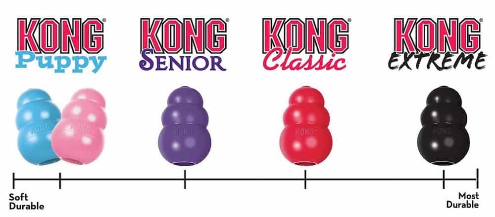 KONG Senior Kong Dog Toy