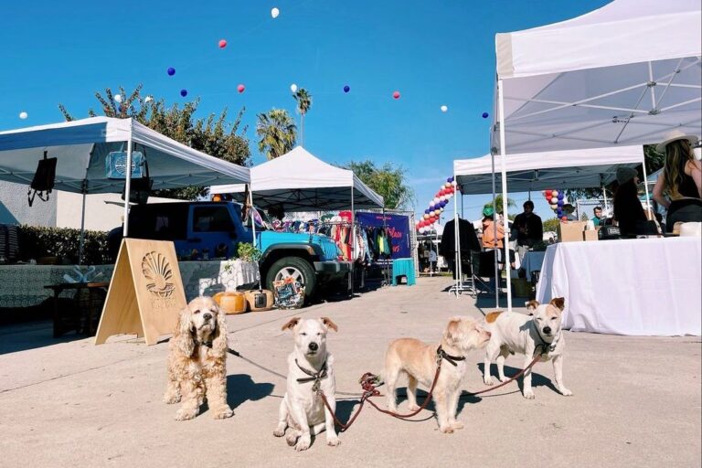 A Complete List of Dog-Friendly Flea Markets in Los Angeles