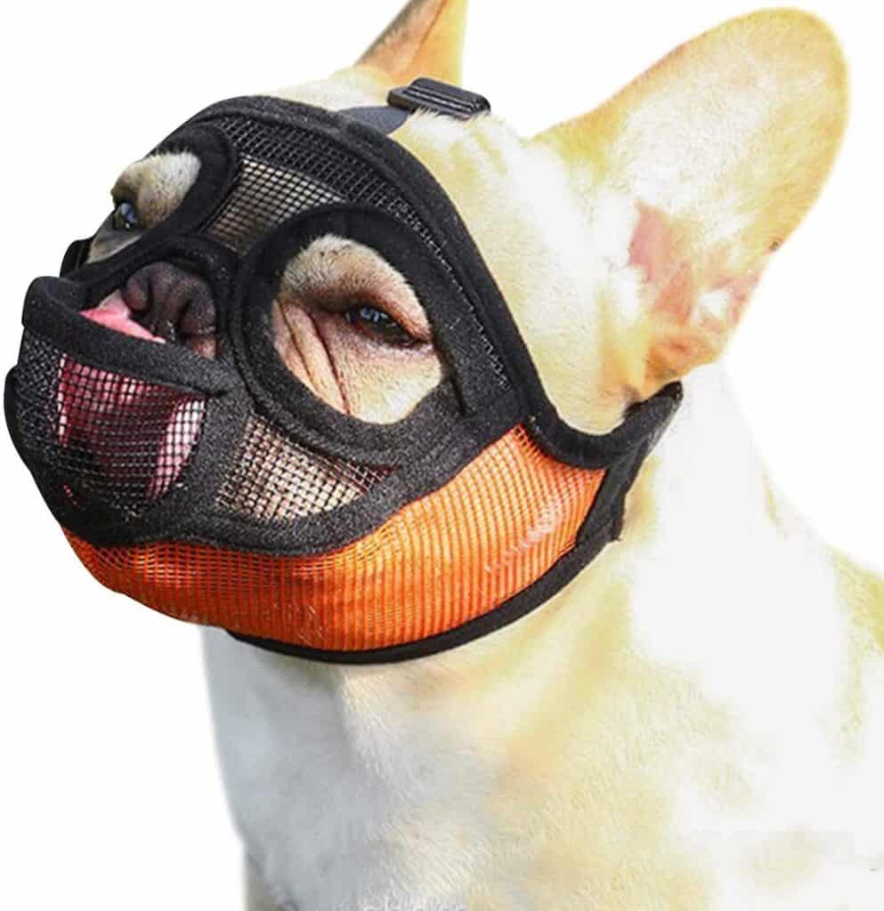 Muzzle for clearance a pug